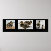 Poster "Duckling Collection", Noir (Devant)