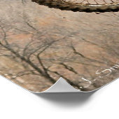 Poster Duel dans la jupe (Coin)