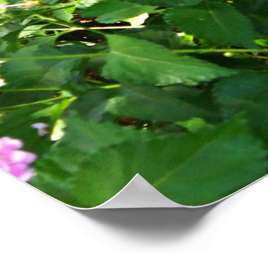 Poster Duet du printemps (Coin)