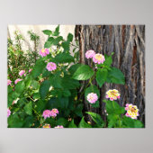 Poster Duet du printemps (Devant)