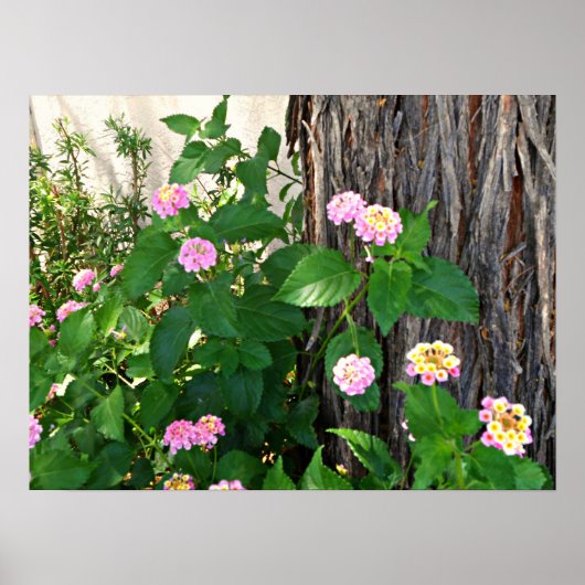 Poster Duet du printemps (Devant)