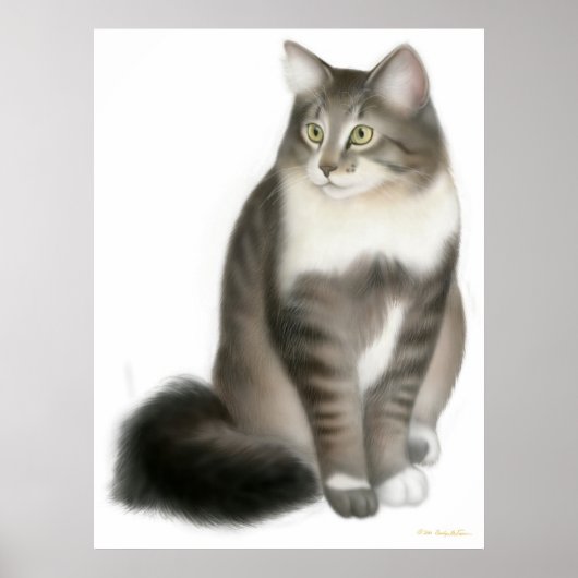 Poster Duffy Coon Cat du Maine Imprimer (Devant)