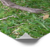 Poster Duitse horthaired Pointer (Hoek)