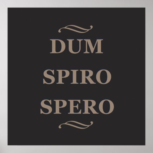 Poster Dum spiro spero (Devant)