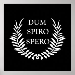 Poster dum spiro spero