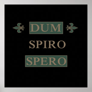 Poster dum spiro spero