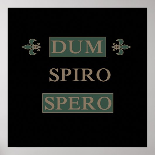 Poster dum spiro spero (Devant)