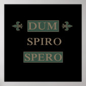 Poster dum spiro spero (Devant)
