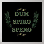 Poster dum spiro spero (Devant)