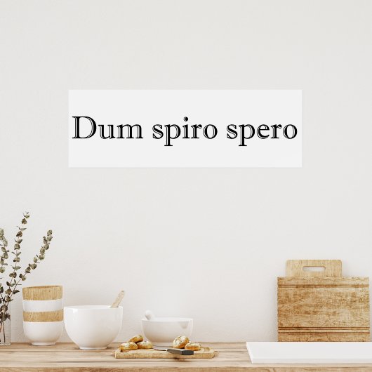 Poster dum spiro spero (Cuisine)