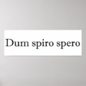 Poster dum spiro spero (Devant)