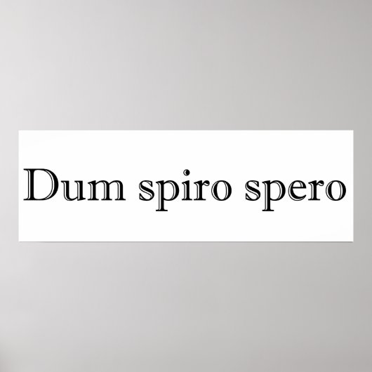 Poster dum spiro spero (Devant)