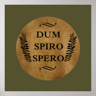 Poster Dum spiro spero