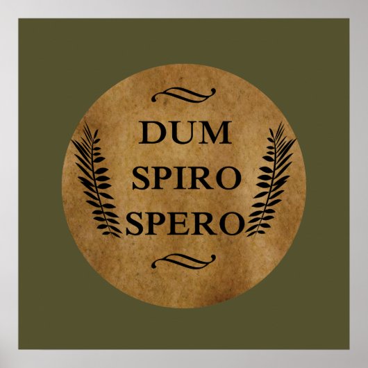 Poster Dum spiro spero (Devant)