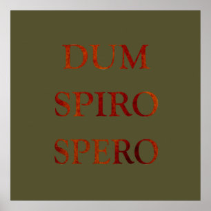 Poster dum spiro spero