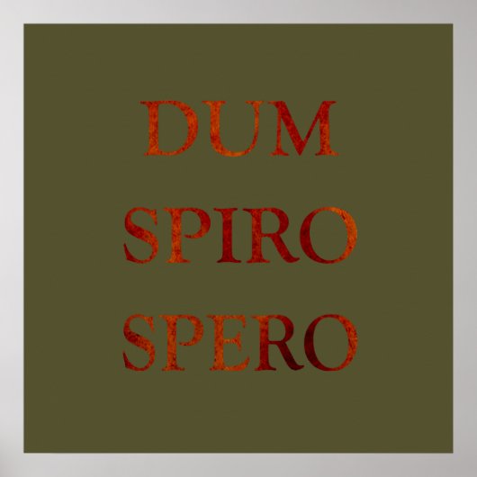 Poster dum spiro spero (Devant)