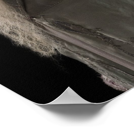 Poster Dumbledore (Coin)