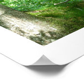 Poster d'un arbre de chêne antique à la Tawny Owle (Coin)