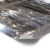 Poster d'un arbre hawaïen de Banyan (Coin)