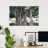 Poster d'un arbre hawaïen de Banyan (Bureau à domicile)