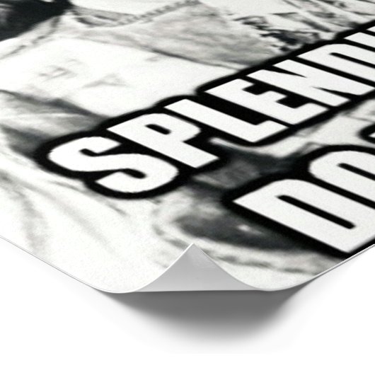 Poster d'un autochtone sur l'immigration (Coin)