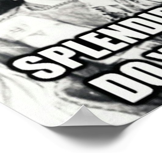 Poster d'un autochtone sur l'immigration (Coin)