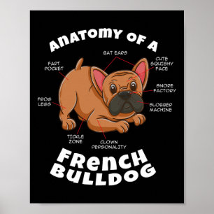 Poster D'un bouledogue français