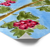 Poster d'un hameçon Spideog (Coin)