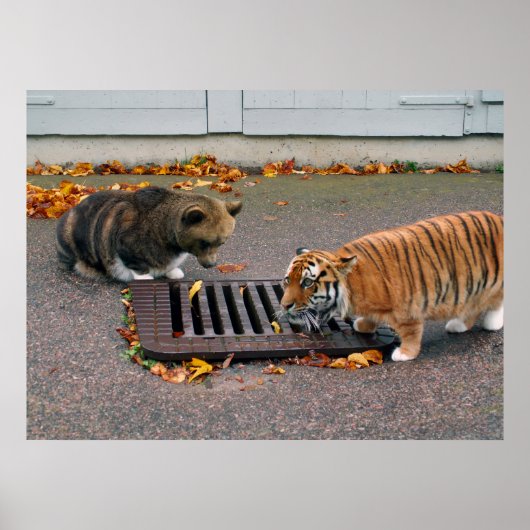 Poster d'un trou d'eau urbain (Devant)