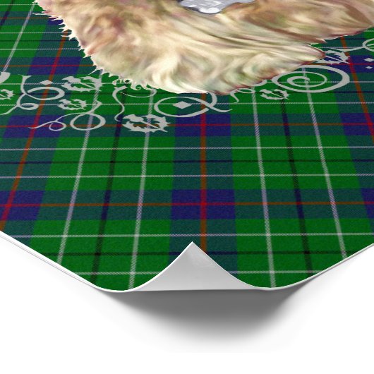 Poster Duncan Tartan (Coin)