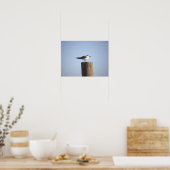 Poster d'une affiche sur Seagull (Cuisine)