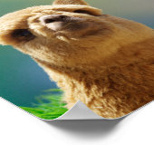 Poster d'une citation de la Bible Turquoise d'Alpa (Coin)