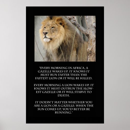 Poster d'une citation de Lion Gazelle (Devant)