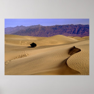 Poster Dune de sable de Death Valley