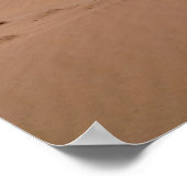 Poster Dune de sable de Gobi (Coin)
