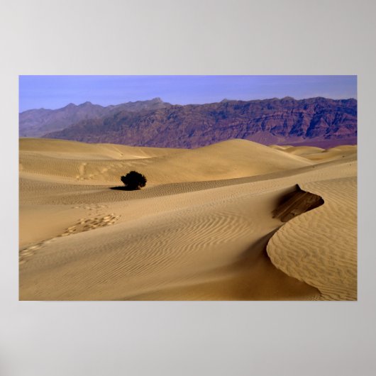Poster dune de sable de la vallée de la Mort (Devant)