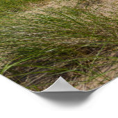 Poster Dune Et avoine (Coin)