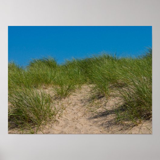 Poster Dune Et avoine (Devant)