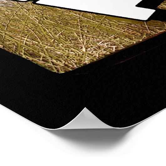 Poster d'une fausse housse de capot de Robot Fight (Coin)