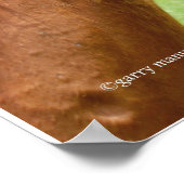 Poster d'une grande journée avec des chevaux (Coin)