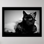 Poster d'une petite princesse (Devant)