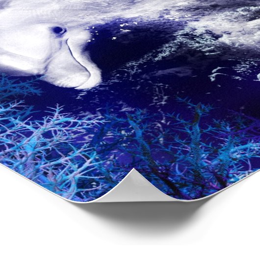 Poster d'une sirène avec dauphin (Coin)