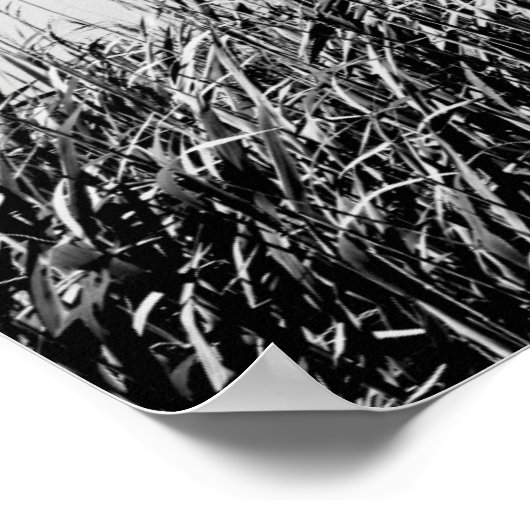 Poster Dune Triptyque III (Coin)