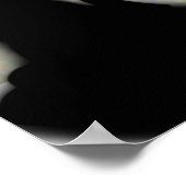 POSTER D'UNE VOIX CNCRT (Coin)