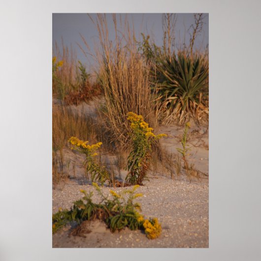 Poster Dunes (Devant)