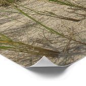 Poster Dunes (Coin)