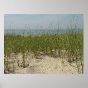 Poster Dunes