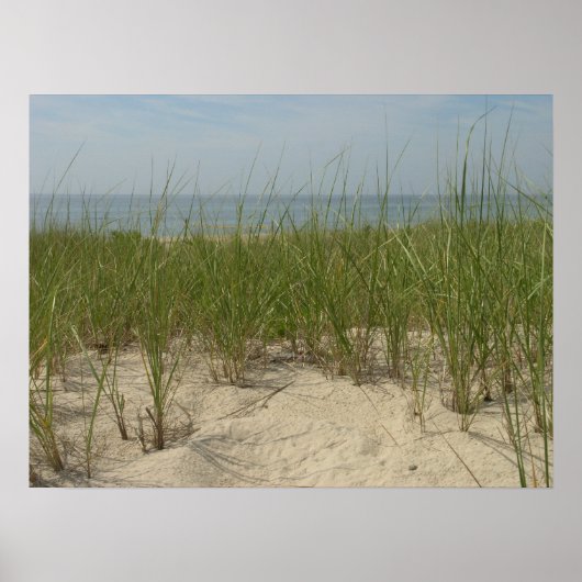 Poster Dunes (Devant)