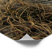 Poster Dunes (Coin)