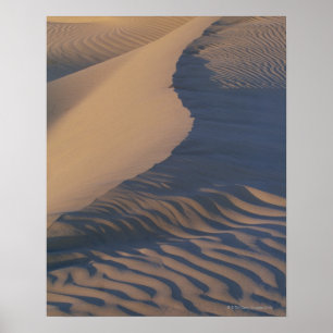 Poster Dunes de sable aux appartements de mesquite
